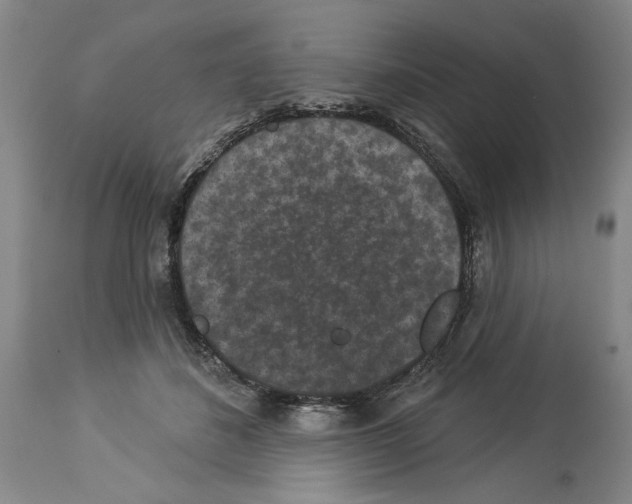 X0000113940508200911061244