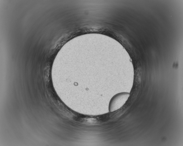 X0000113940509200911061244