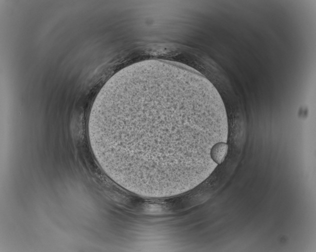 X0000113940510200911061244