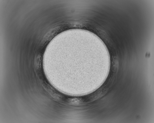 X0000113940511200911061244