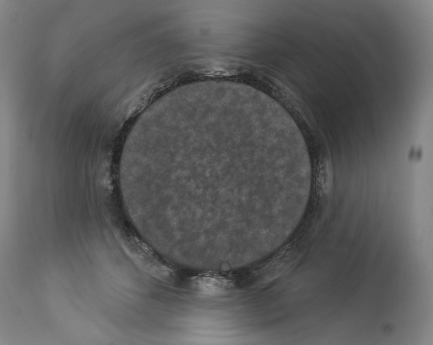 X0000113940512200911061244