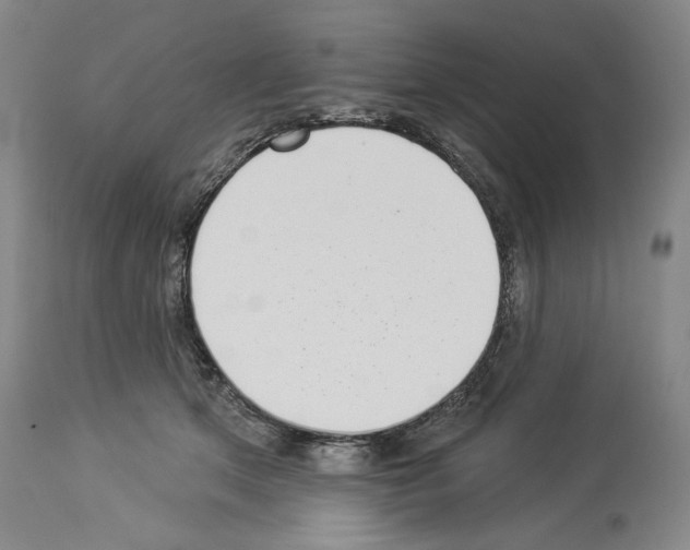 X0000113940513200911061244