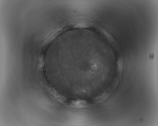 X0000113940517200911061244