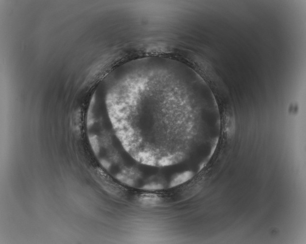 X0000113940519200911061244