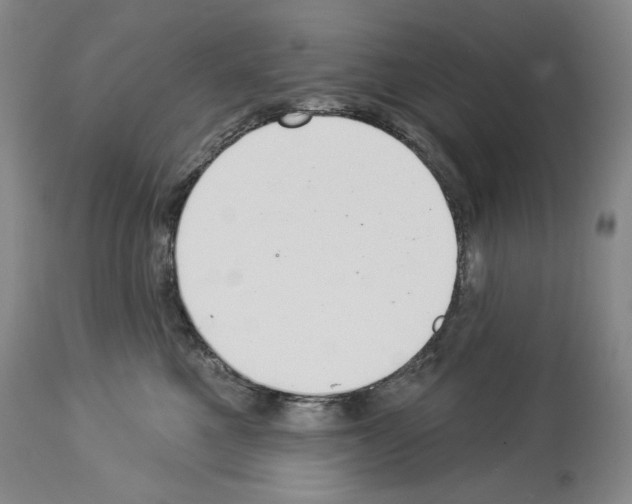 X0000113940521200911061244