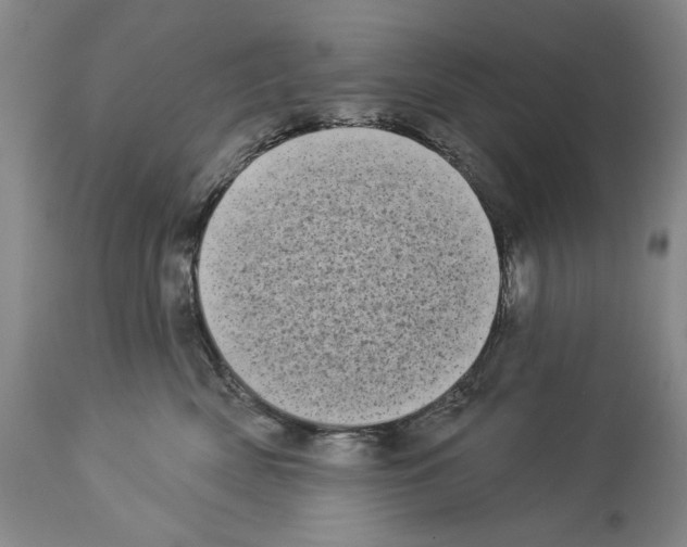 X0000113940522200911061244