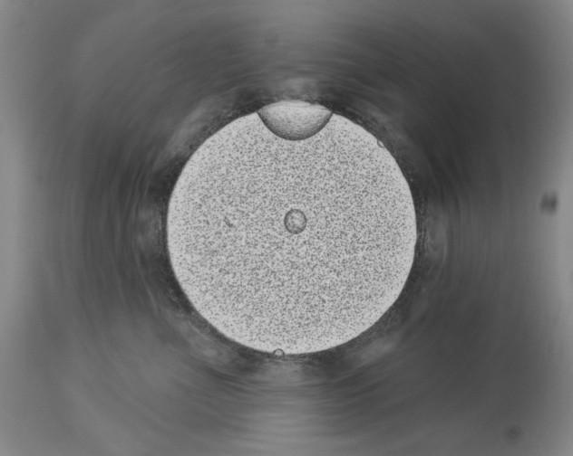 X0000113940523200911061244