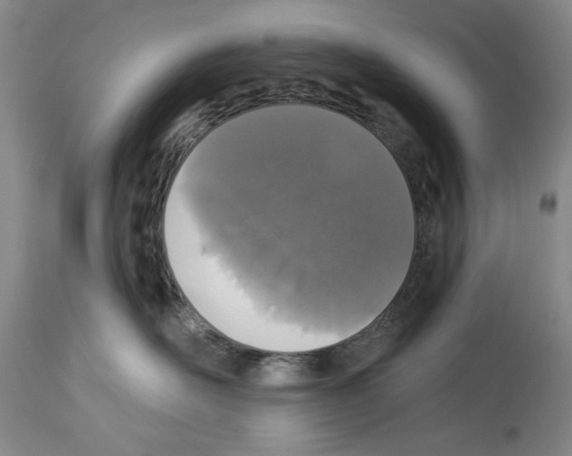 X0000113940526200911061244