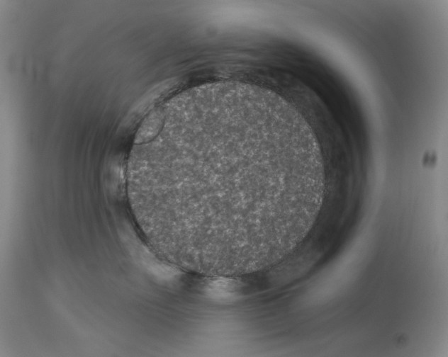 X0000113940527200911061244