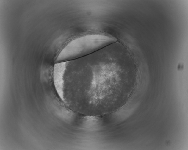 X0000113940528200911061244