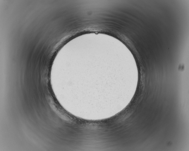 X0000113940530200911061243
