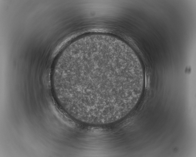 X0000113940531200911061243