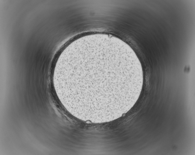 X0000113940532200911061243