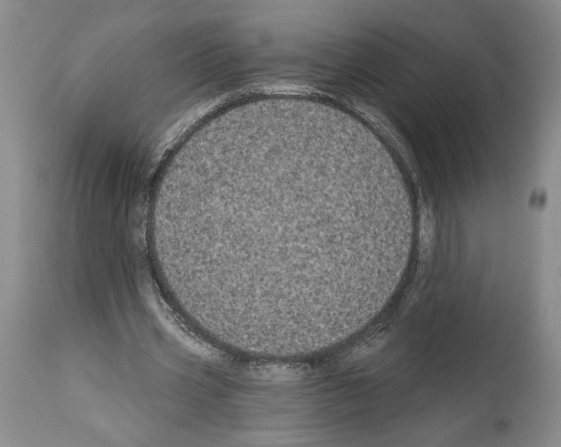 X0000113940533200911061243