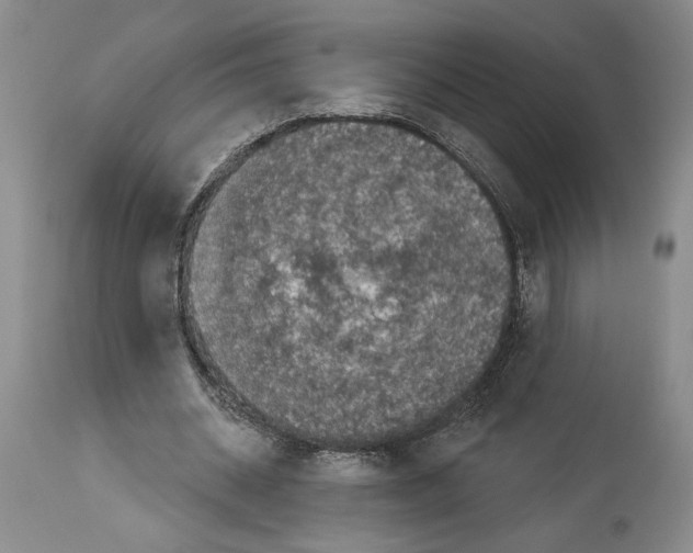 X0000113940534200911061243