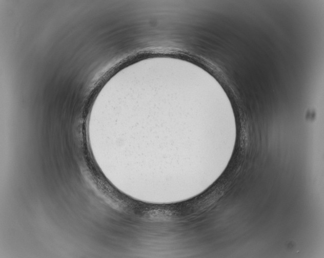 X0000113940535200911061243