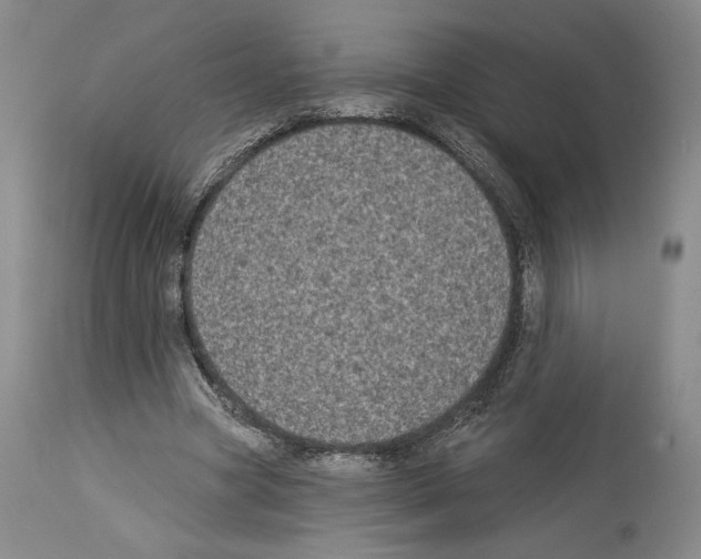 X0000113940537200911061243