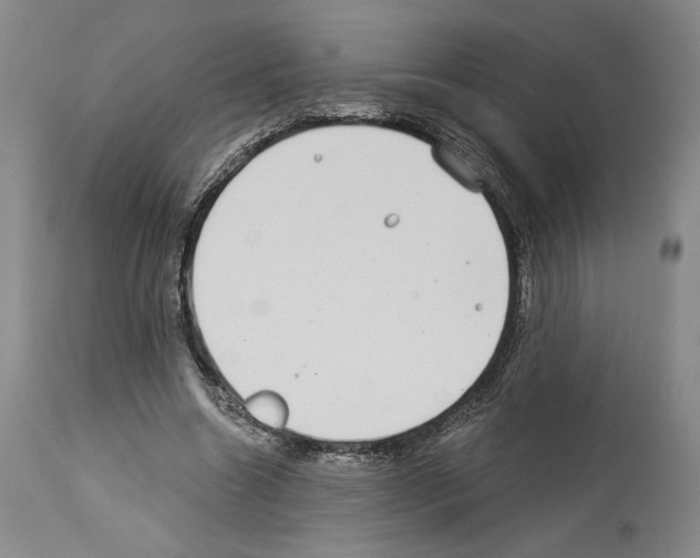 X0000113940538200911061243