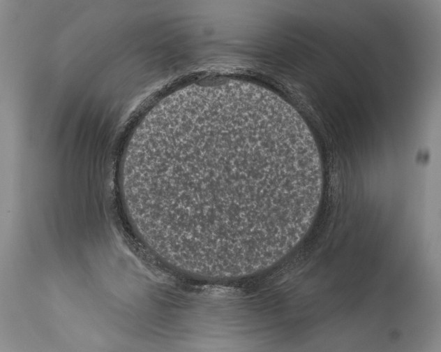 X0000113940539200911061243