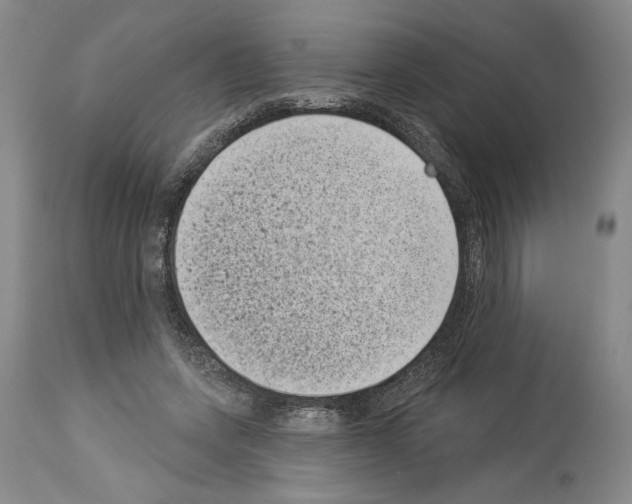 X0000113940543200911061243