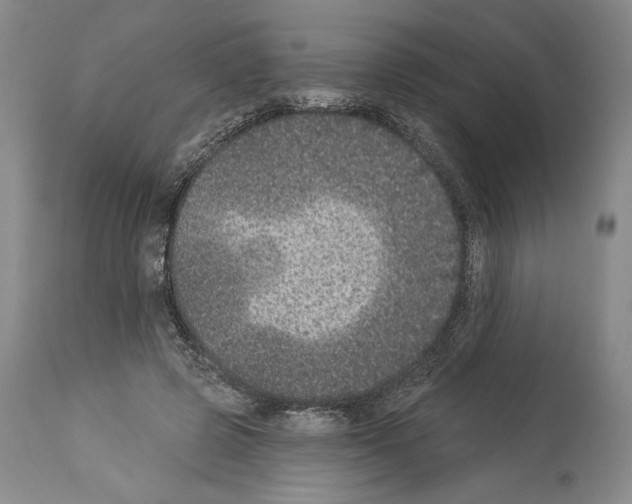 X0000113940545200911061244