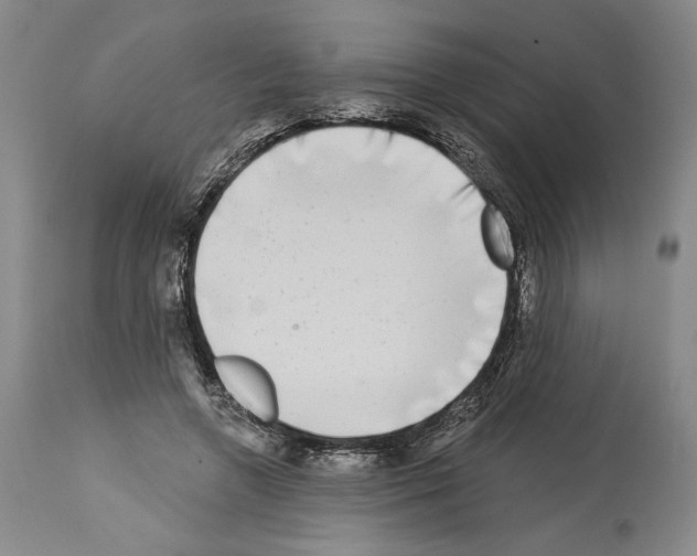 X0000113940546200911061244