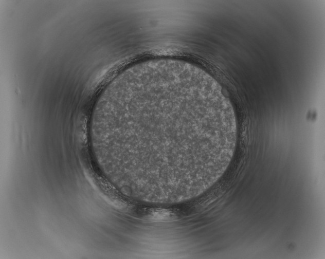 X0000113940547200911061244
