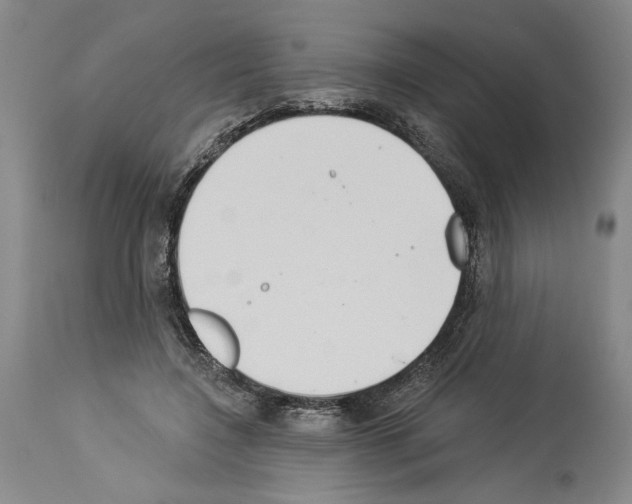 X0000113940548200911061244