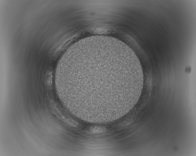 X0000113940549200911061244