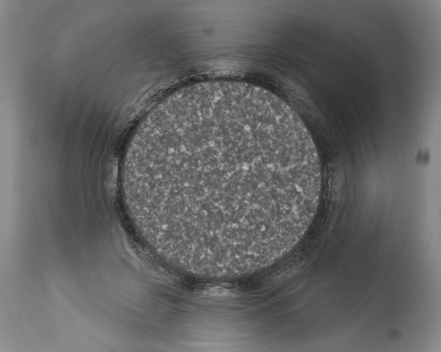 X0000113940550200911061244