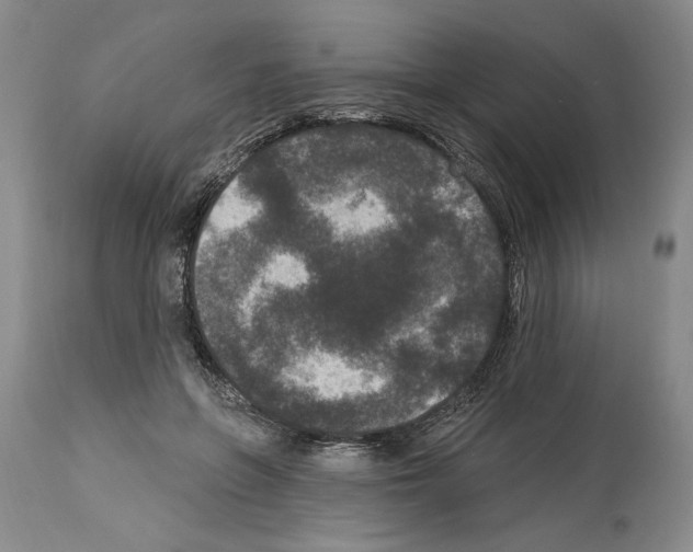 X0000113940551200911061244