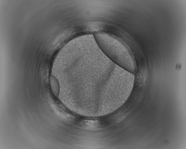 X0000113940552200911061244