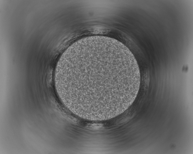 X0000113940554200911061244