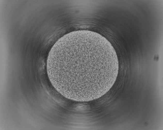 X0000113940555200911061244