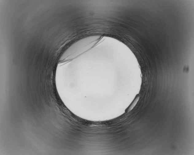 X0000113940556200911061244