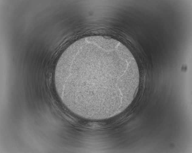 X0000113940558200911061244