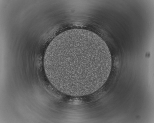 X0000113940559200911061244