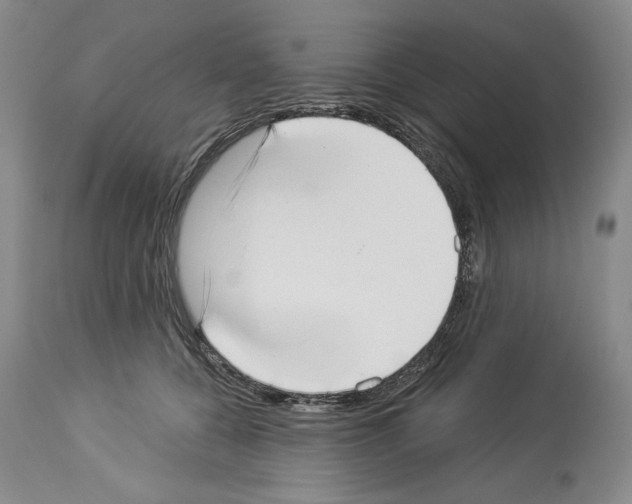 X0000113940560200911061244