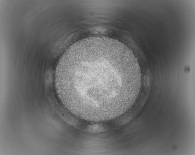 X0000113940561200911061244