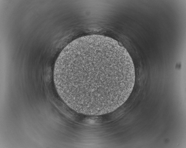 X0000113940563200911061244