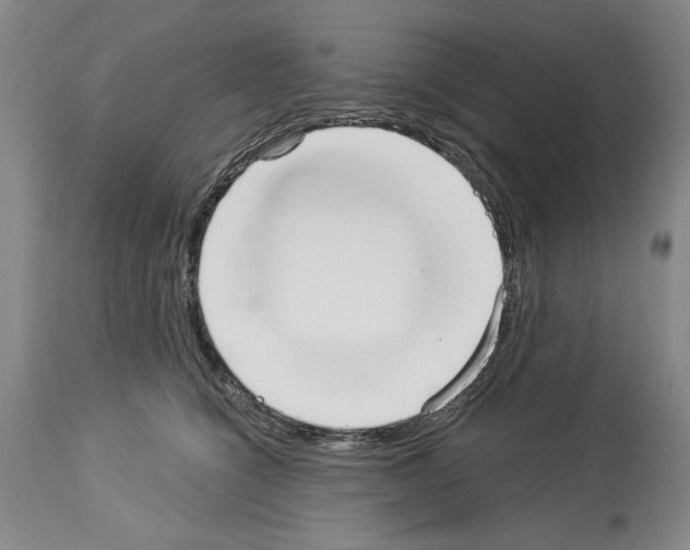 X0000113940564200911061244