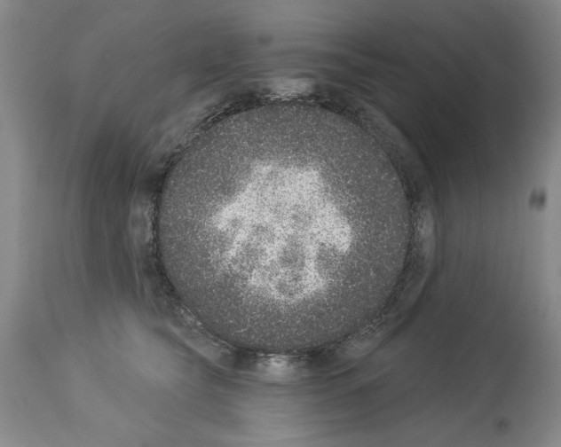 X0000113940565200911061244