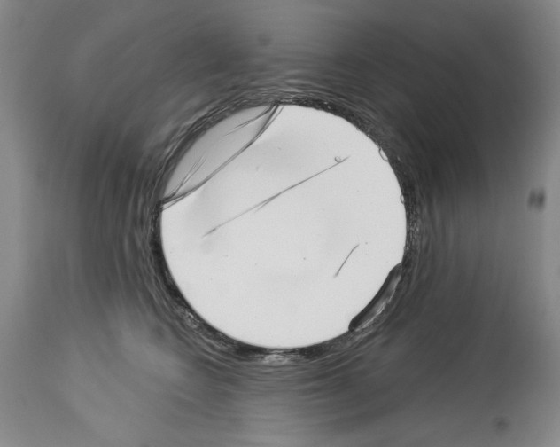 X0000113940566200911061244