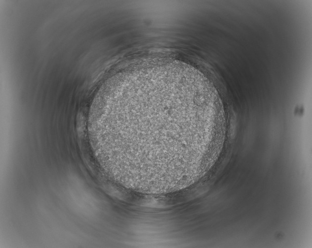 X0000113940569200911061244