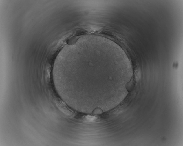 X0000113940570200911061244