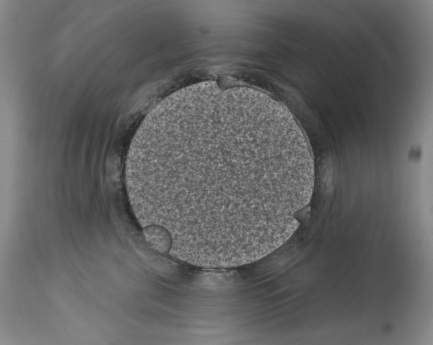 X0000113940571200911061244