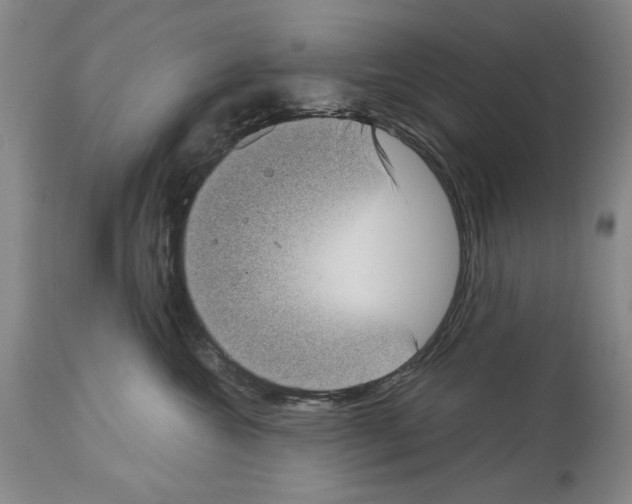 X0000113940572200911061244