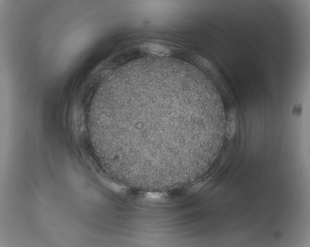 X0000113940573200911061244
