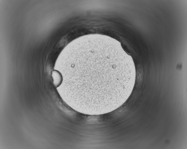 X0000113940574200911061244
