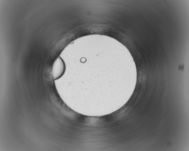 X0000113940575200911061244